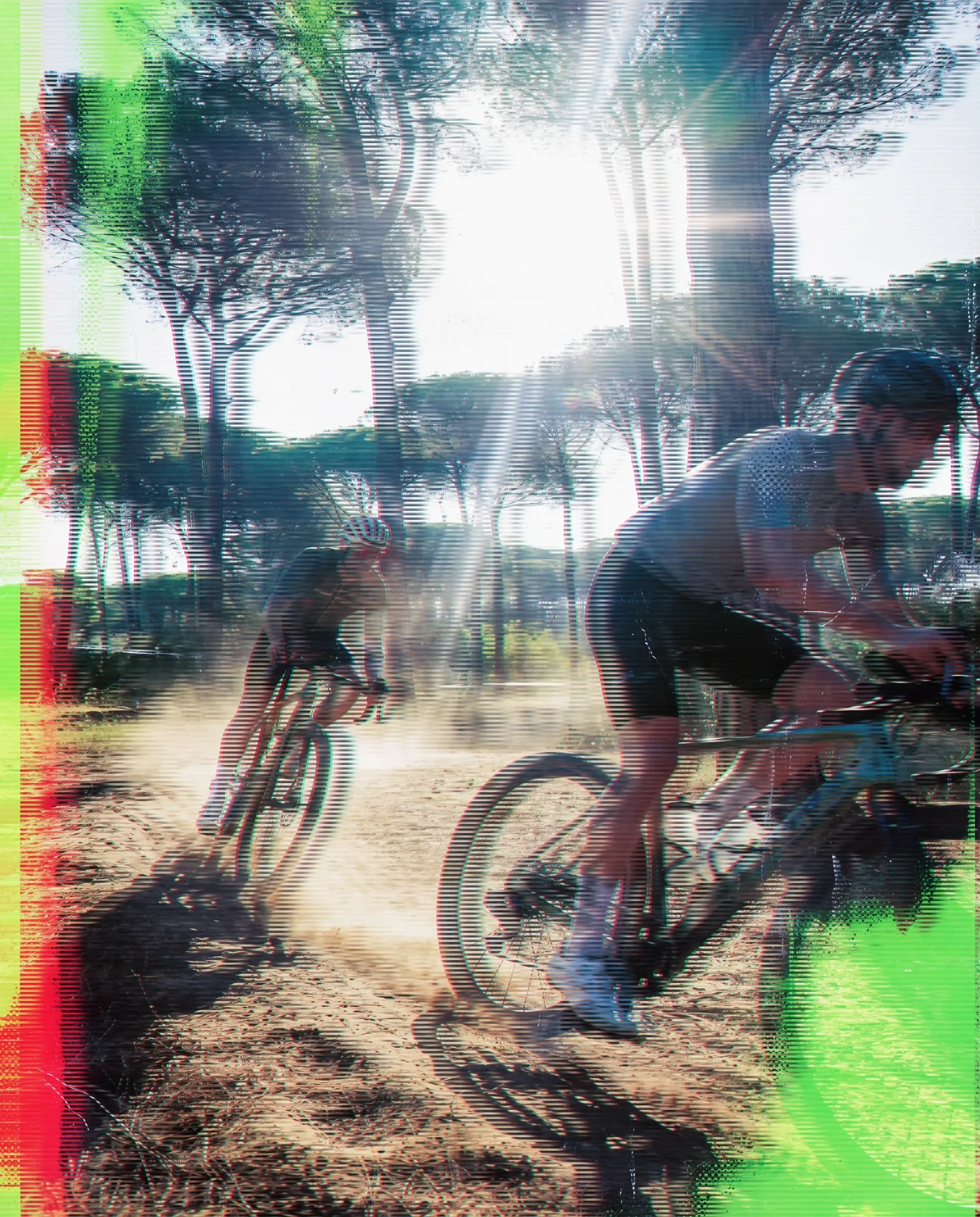 Due ciclisti gravel in controluce su sterrato sabbioso sotto i pini del Litorale Romano